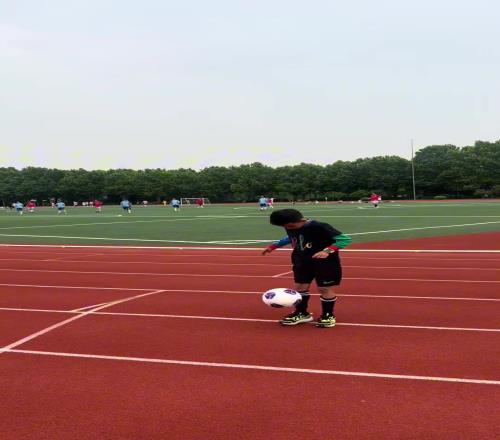 张琳芃爱妻发布社媒:记录两小只陪爸爸来复旦大学做活动的一天
