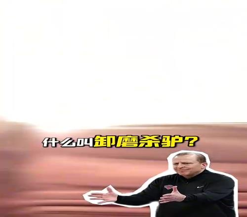 段冉:尼克斯解雇锡伯杜就是卸磨杀驴,他把尼克斯带到不属于他们的高度