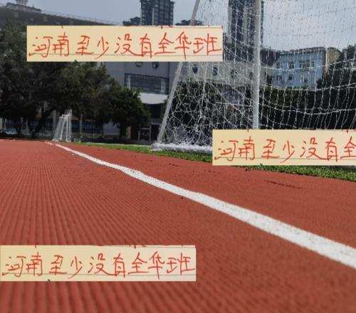 河南也算好的!还在首发安排两个外援阻击上海海港