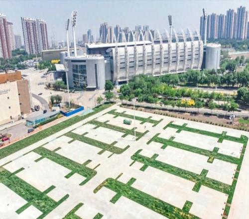 改善停车难问题,津门虎主场旁规划足球特色主题车位368个
