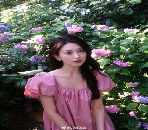 无畏契约美女主持V嘉晒照:拍了拍夏天,最浪漫的花海