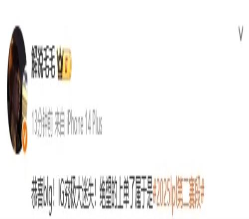 被虐晕了!微博热议BLG横扫iG:手太重了BLG!TheShy绝望的上单了属于是