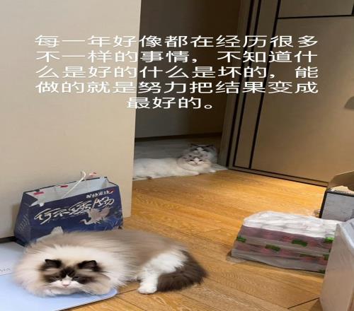 要离开TES了Crisp更新ins:好运常在,改变就是好事