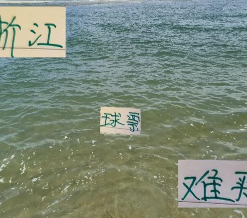 没想到!浙江也加入球票难买行列