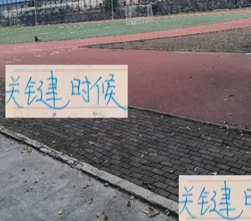 关键时候!申花真不会一场比赛受伤一个甚至到报销吧!