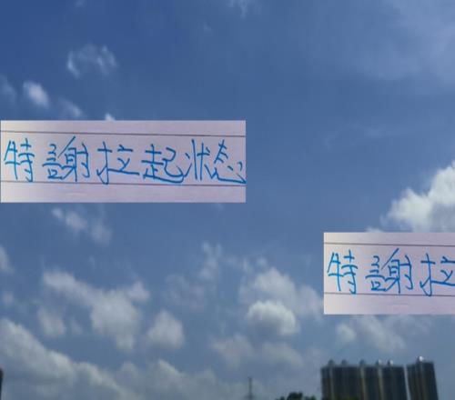 申花虽输球但也算是攻略成功!给特谢拉拉满状态