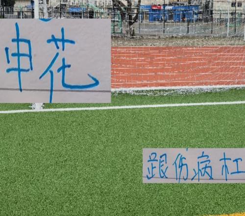申花跟伤病杠上!从8月开始每场都有人受伤
