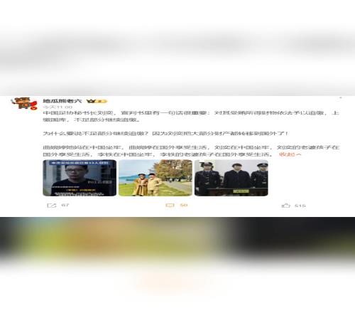 博主：为什么要说不足部分继续追缴因为刘奕把财产转移到国外了