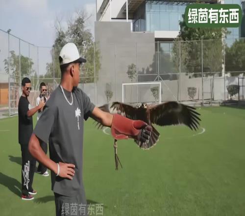 身价1.8亿欧的亚马尔在迪拜养伤休息的一天是如何度过的