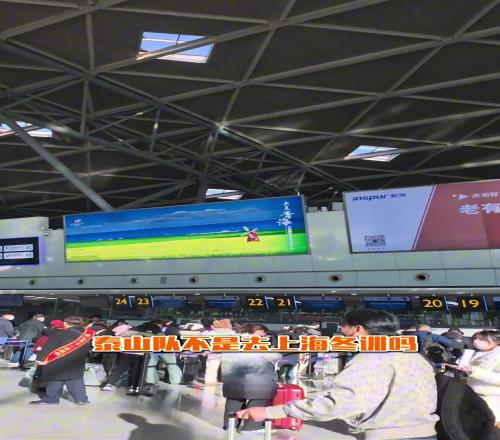 和泰山队一起坐飞机是什么体验这真是一次非常愉快的旅程