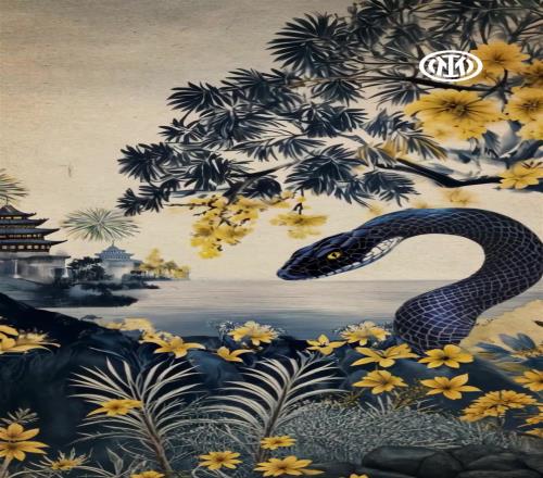 与时俱化，恒久如斯祝内拉们蛇年大吉，巳巳如意