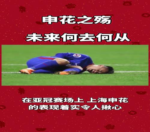亚冠失利，申花新赛季还有仍未解决的问题，未来何去何从