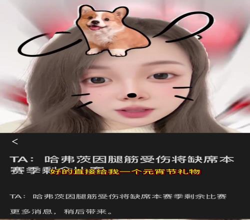 哈弗茨赛季报销枪迷小姐姐：我厂中锋还能上谁斯特林