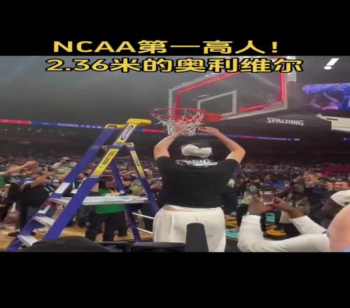 这是真高啊，2.36米剪篮网连梯子都不用
