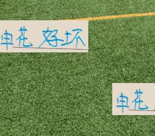 申花好消息！马莱莱没有来坏消息！蒋圣龙上不了场