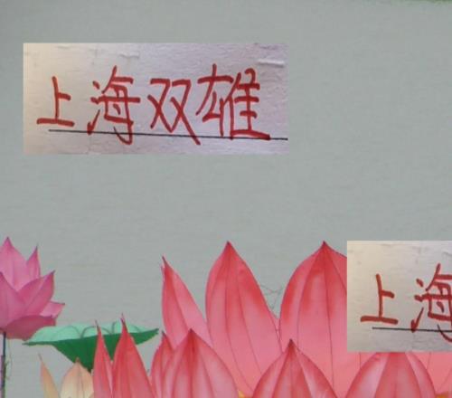 又是上海双雄争冠！万一海港是冠军申花就可能有10个亚军了