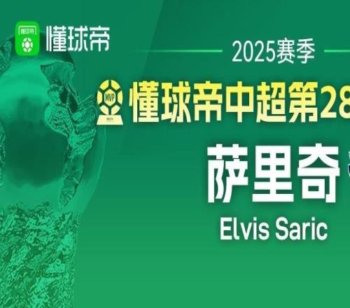 懂球帝2025赛季中超第28轮MVP：萨里奇