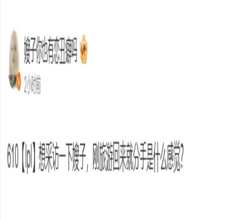 Meiko旅游完就分手网友爆料：嫂子刚旅游回来就分手是什么感觉