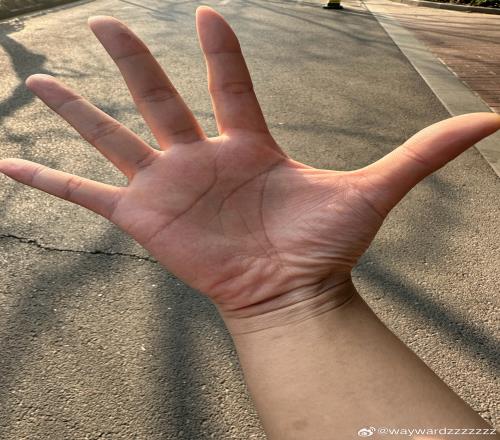wayward更博：最近早上一喝咖啡就想吐是怀孕了吗，来个老中医把把脉