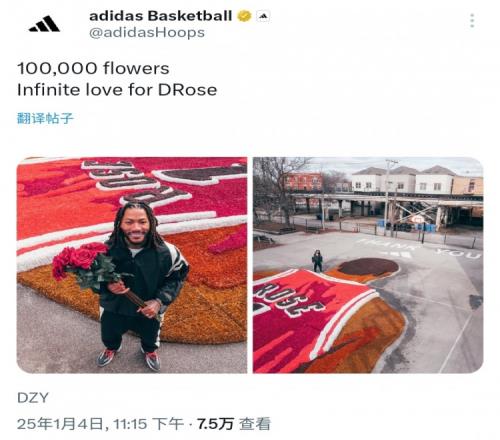 有心！阿迪达斯用10万朵玫瑰给罗斯做出巨像画以示致敬