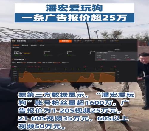 网红训狗师潘宏直播洗狗导致不适去世引争议广告报价高达50万元