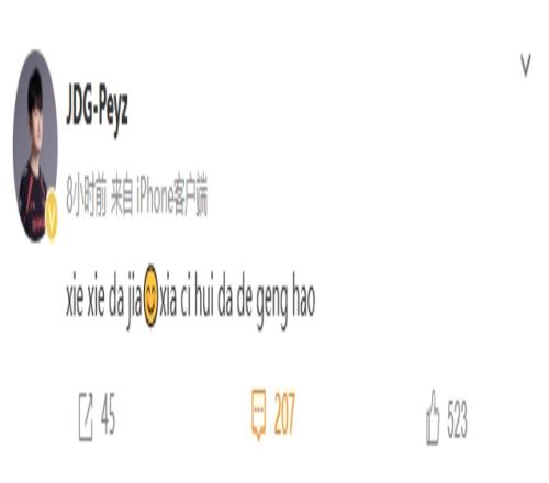 你出大力了JDG.Peyz：谢谢大家下次会打得更好