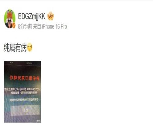 打着我康神名号开挂！ZmjjKK发微博控诉挂狗：纯属有病！