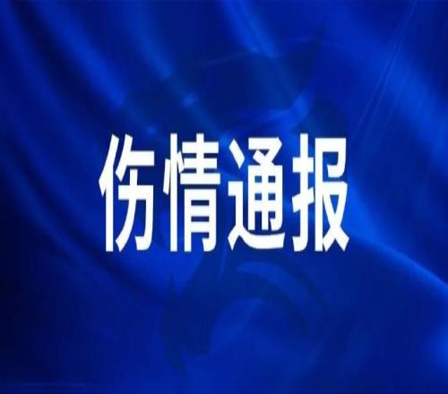 《伤情通报》