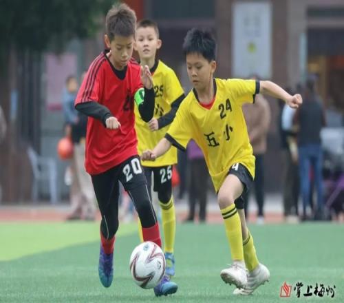 粤媒：梅州全市500多间足球特色学校构建了完善的校园足球体系
