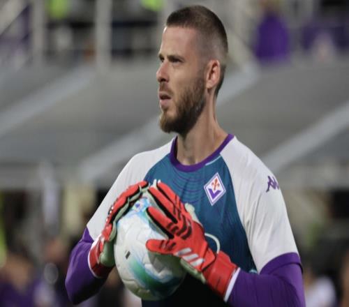 德赫亚：没人能想到佛罗伦萨会开局8轮不胜，我们得扭转局面