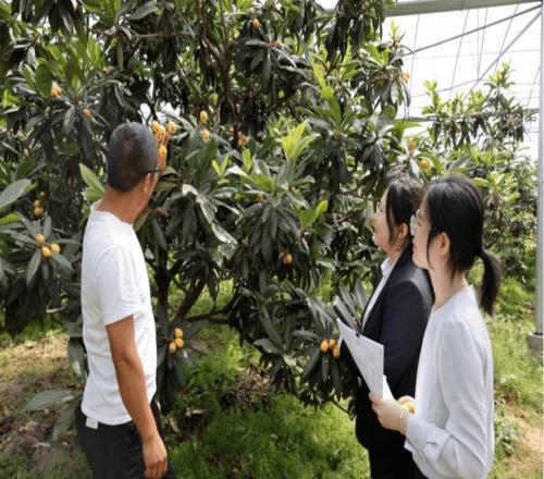 宁波银行，打出一记漂亮的ACE球