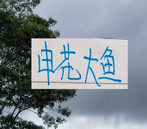 申花跟浙江大鱼都上岸了！就差海港他们的了