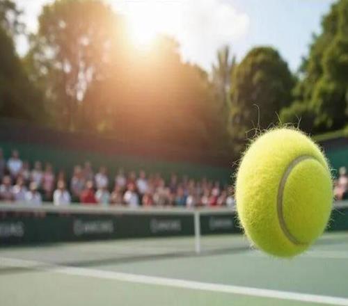 中国人的观赛礼仪？！