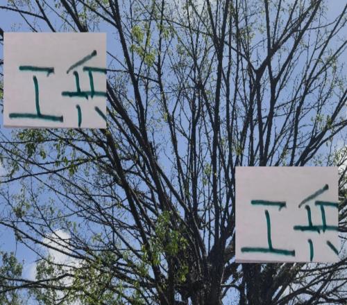 有意思！海港+成都+北京国安工兵中场今年合同全部到期