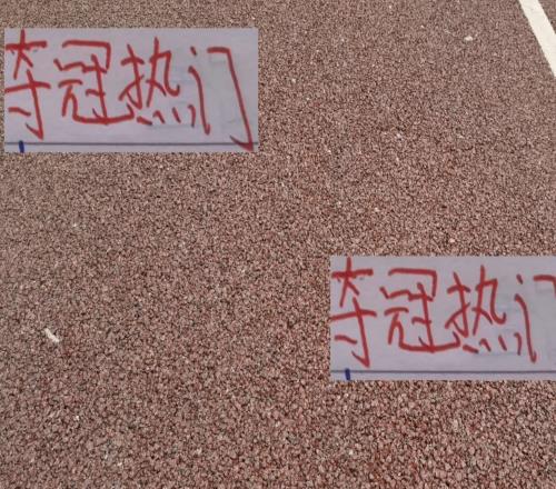 夺冠热门前二名！海港跟成都本轮有CCTV直播加持下还能凯旋吗