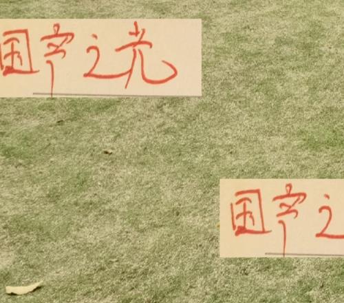 国产之光！亚洲赛事4球队只有上海申花获胜！能奖励鸡腿吗