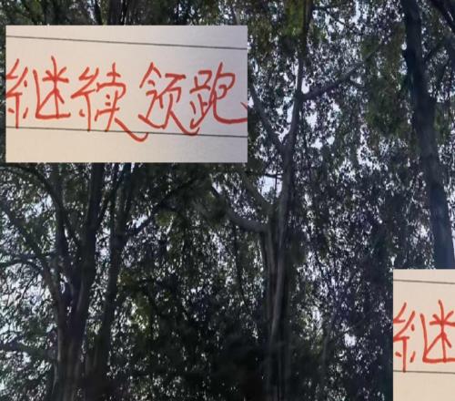 继续领跑！继续进球第一！海港差点被海牛压得喘不过气