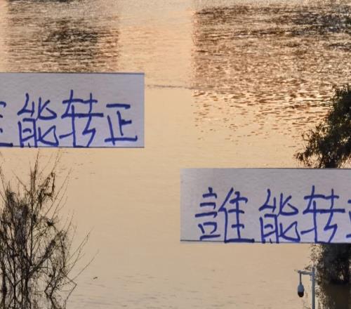 明年转正谁概率大是北京国安拉米罗还是前申花球员陈涛