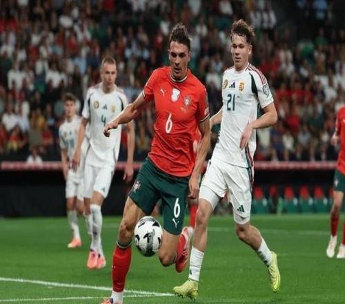 帕利尼亚：匈牙利实力很强下半场我们缺少了一些压迫