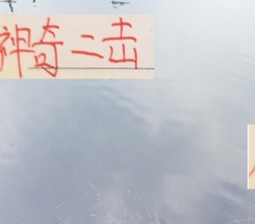 神奇二击！海港跟申花前15轮拿分第一后半程突然拉胯了