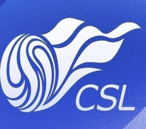 中超11月最佳阵容：法比奥、瓦科领衔，吴曦、王燊超入选