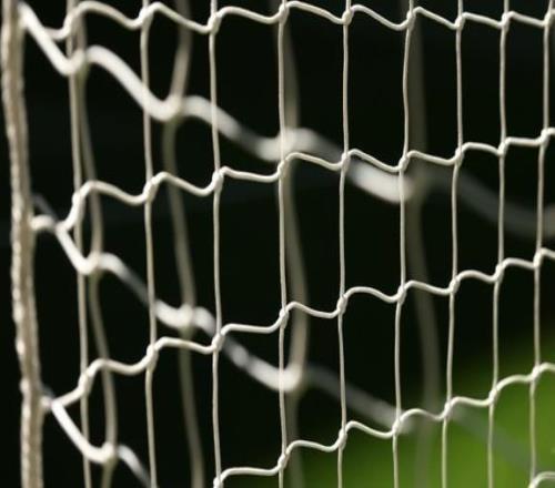 英足总官方：因对阵布莱顿行为不当，狼队主帅佩雷拉被罚15000镑