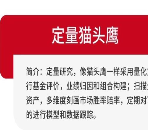 从杨瀚森，到FOF