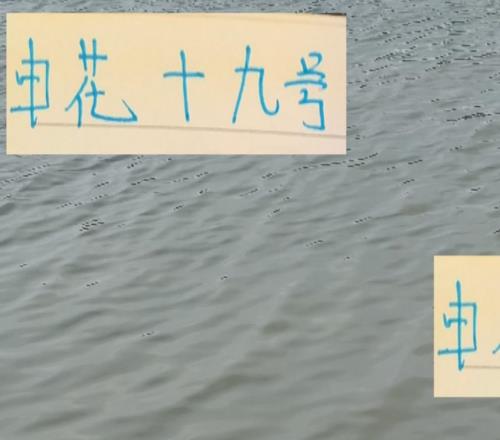 换个角度看申花19号！12场比赛造6球阿苏埃其实挺厉害的！
