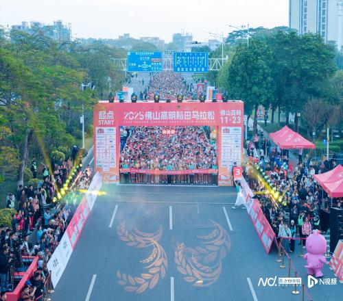 图集｜佛山高明：秋色漫赛道 稻浪伴奔跑