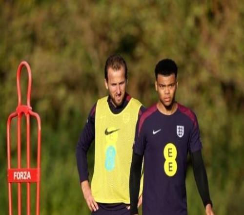 英格兰队官方：补召21岁热刺前锋斯卡利特加入集训营