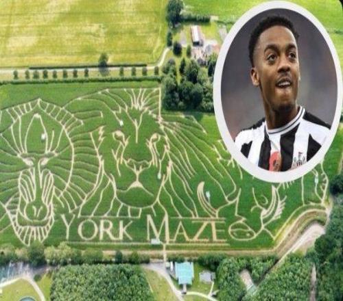 威洛克走失迷宫6小时豪哥：没这事