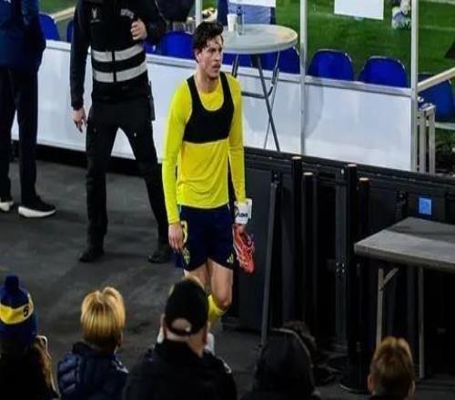 林德洛夫谈瑞典队被嘘：球迷们想嘘就嘘吧，但这样会更好吗