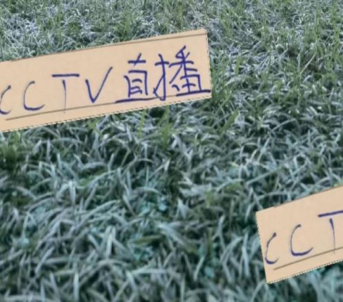 神奇一击！第27轮排名第一海港没得CCTV直播但申花还是有直播的