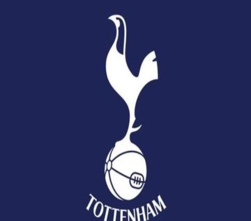 德转热刺球员身价变化：范德芬等5人上涨，西蒙斯等16人下跌